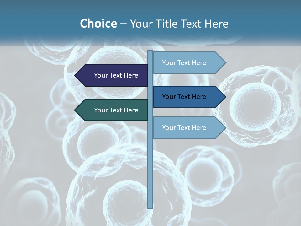 Organism Bacterium Mitosis PowerPoint Template
