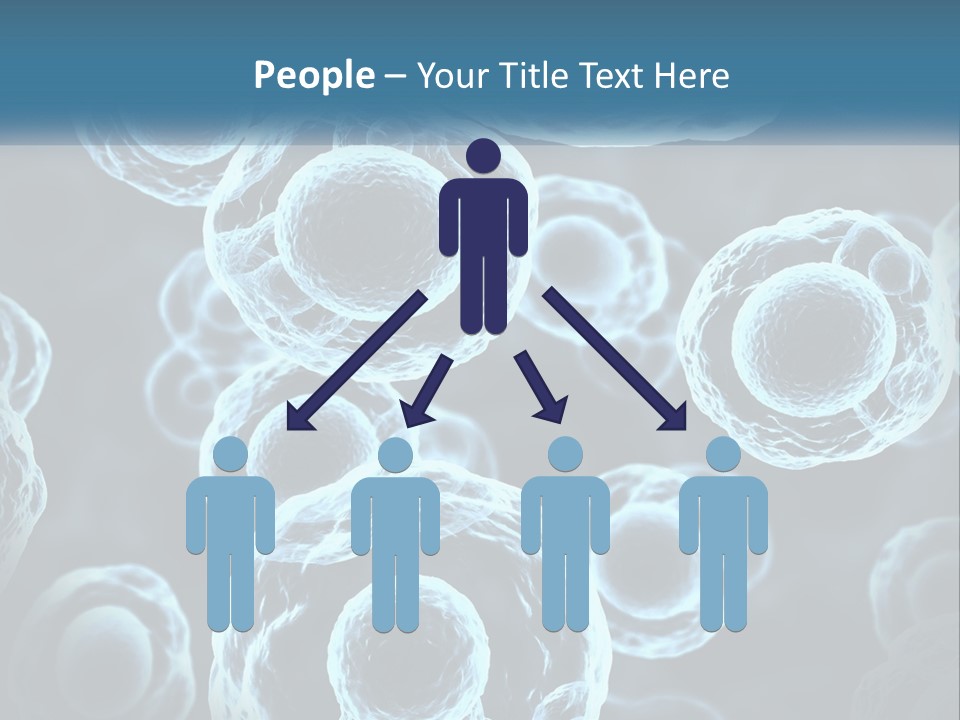 Organism Bacterium Mitosis PowerPoint Template