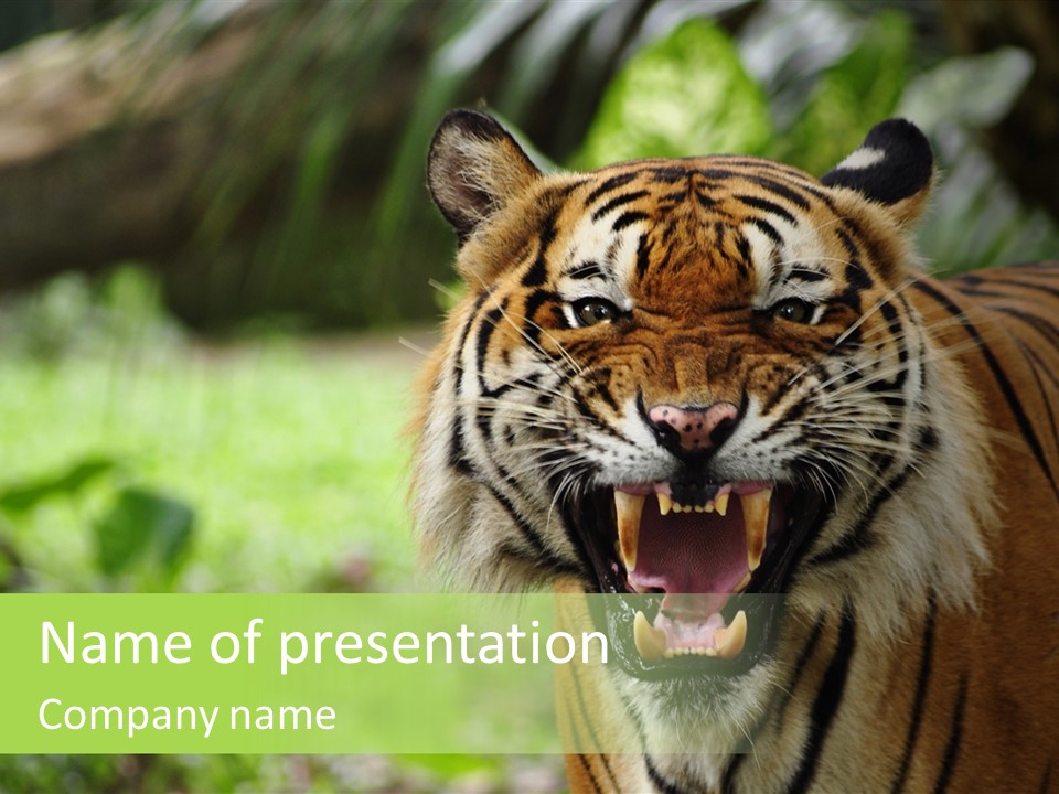 Beauty Safari Scare PowerPoint Template