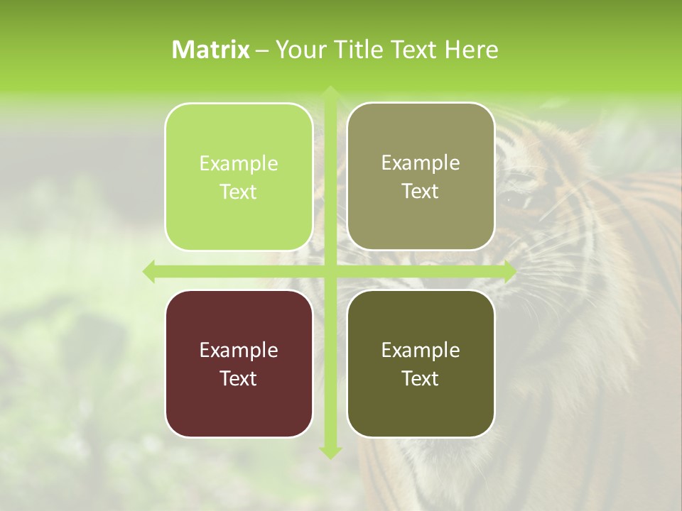 Beauty Safari Scare PowerPoint Template