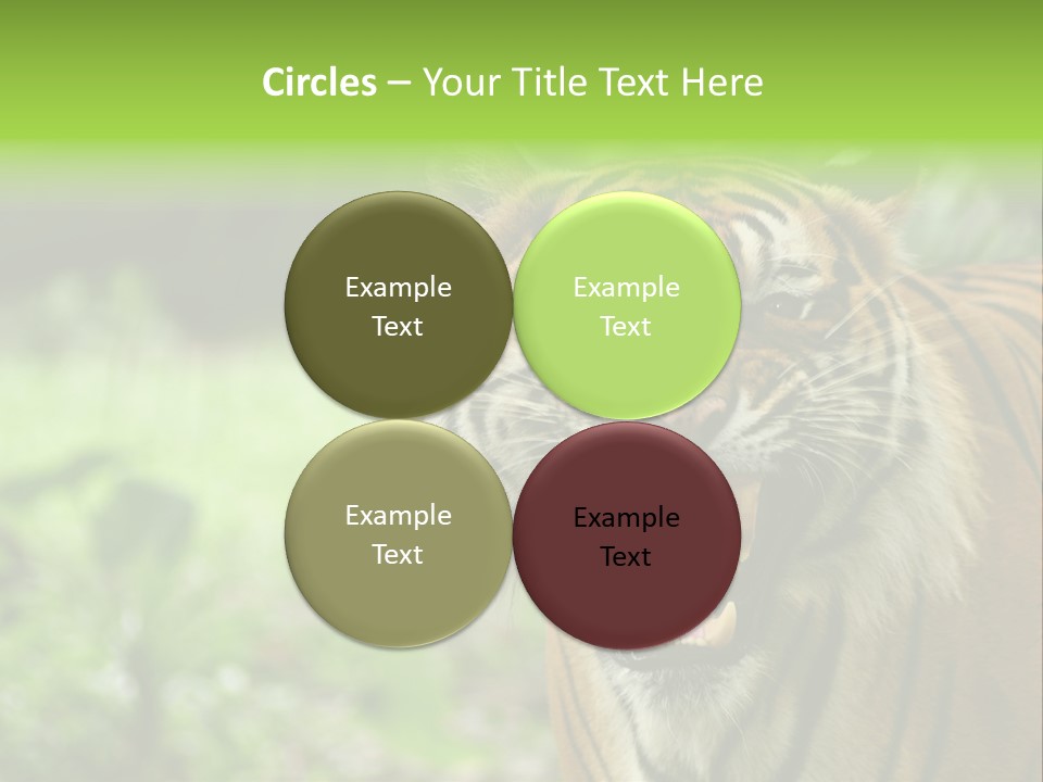 Beauty Safari Scare PowerPoint Template