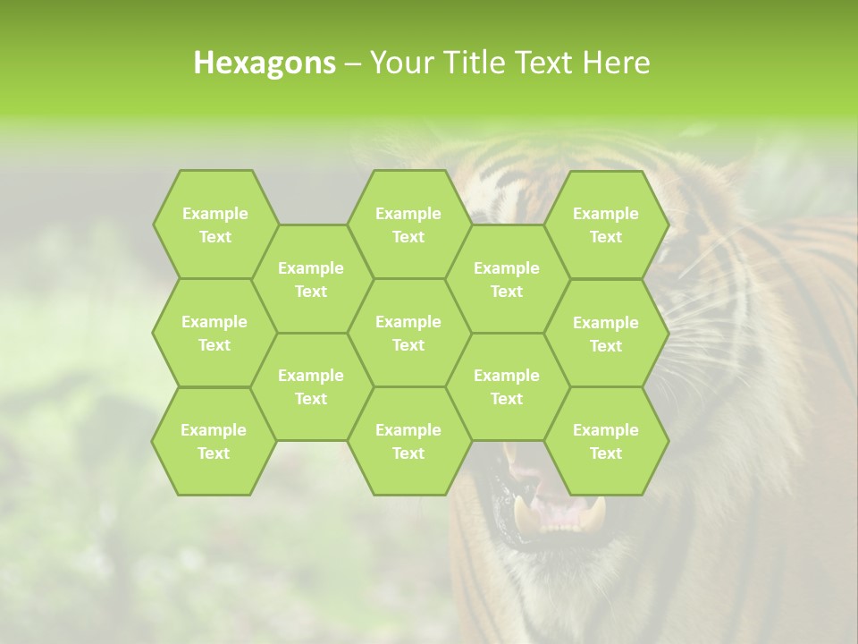 Beauty Safari Scare PowerPoint Template