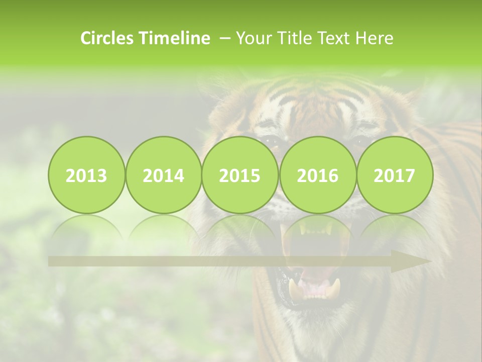 Beauty Safari Scare PowerPoint Template