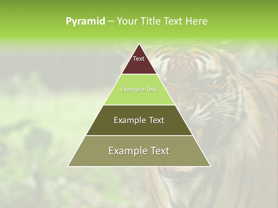 Beauty Safari Scare PowerPoint Template