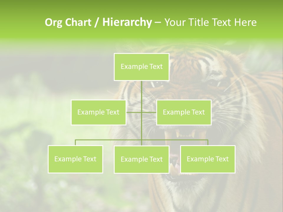 Beauty Safari Scare PowerPoint Template