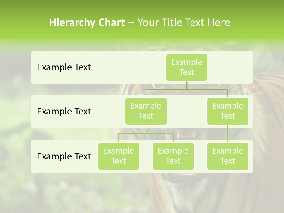 Beauty Safari Scare PowerPoint Template