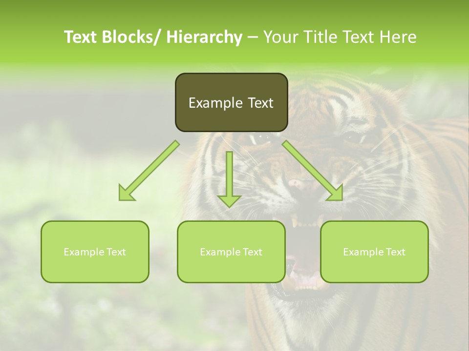 Beauty Safari Scare PowerPoint Template
