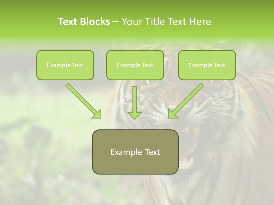 Beauty Safari Scare PowerPoint Template