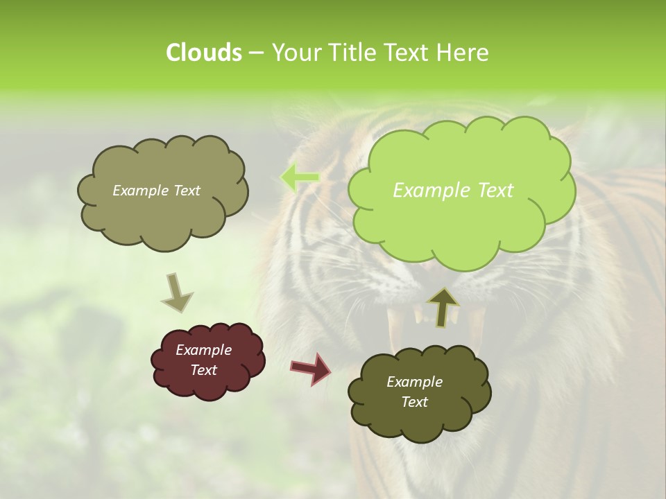 Beauty Safari Scare PowerPoint Template