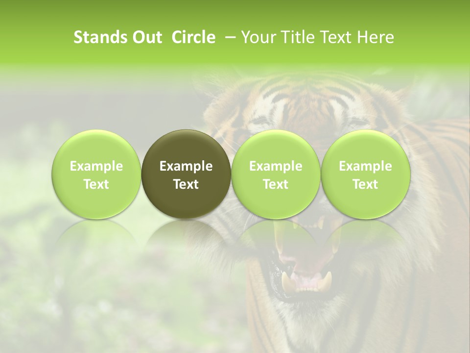 Beauty Safari Scare PowerPoint Template