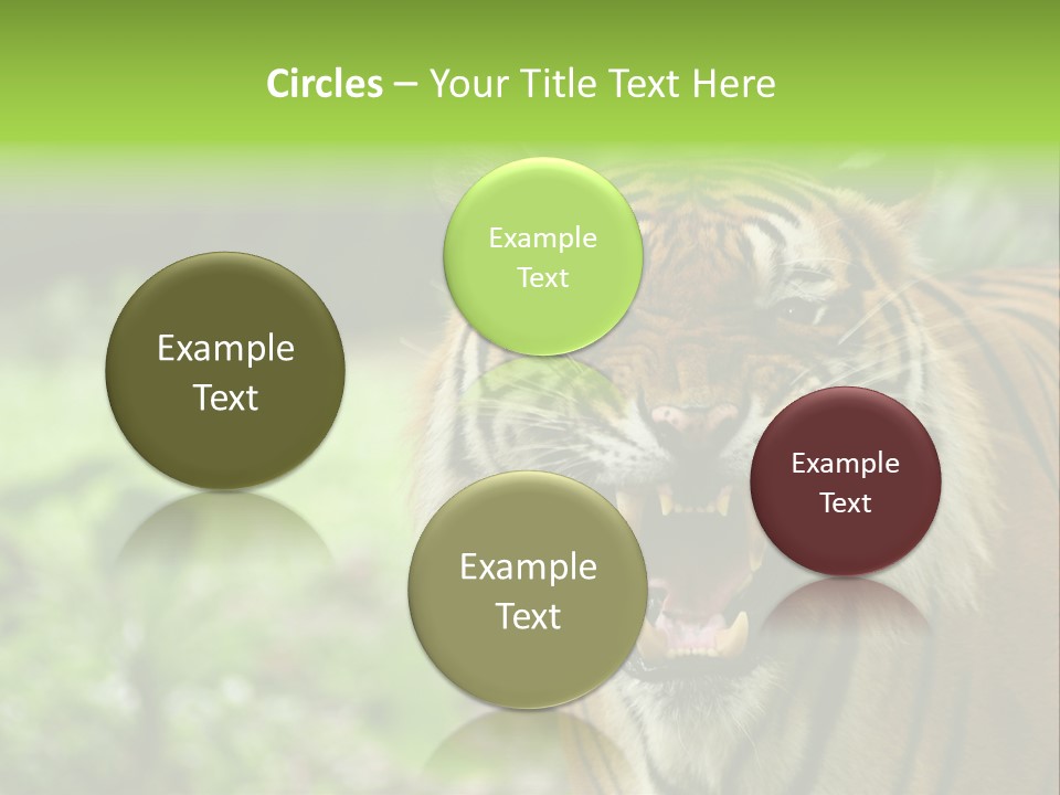 Beauty Safari Scare PowerPoint Template