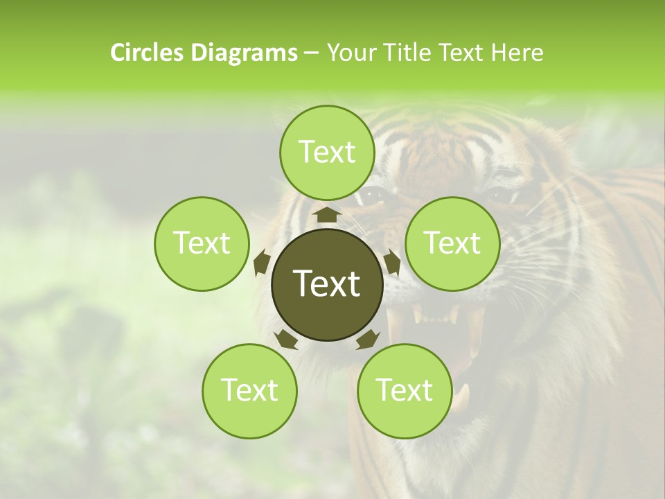 Beauty Safari Scare PowerPoint Template