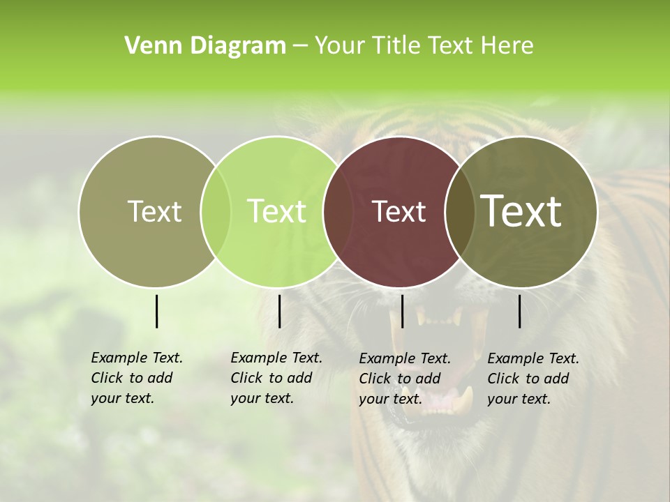 Beauty Safari Scare PowerPoint Template