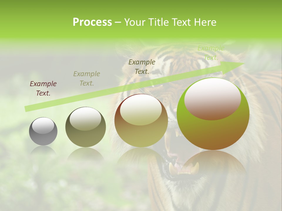 Beauty Safari Scare PowerPoint Template