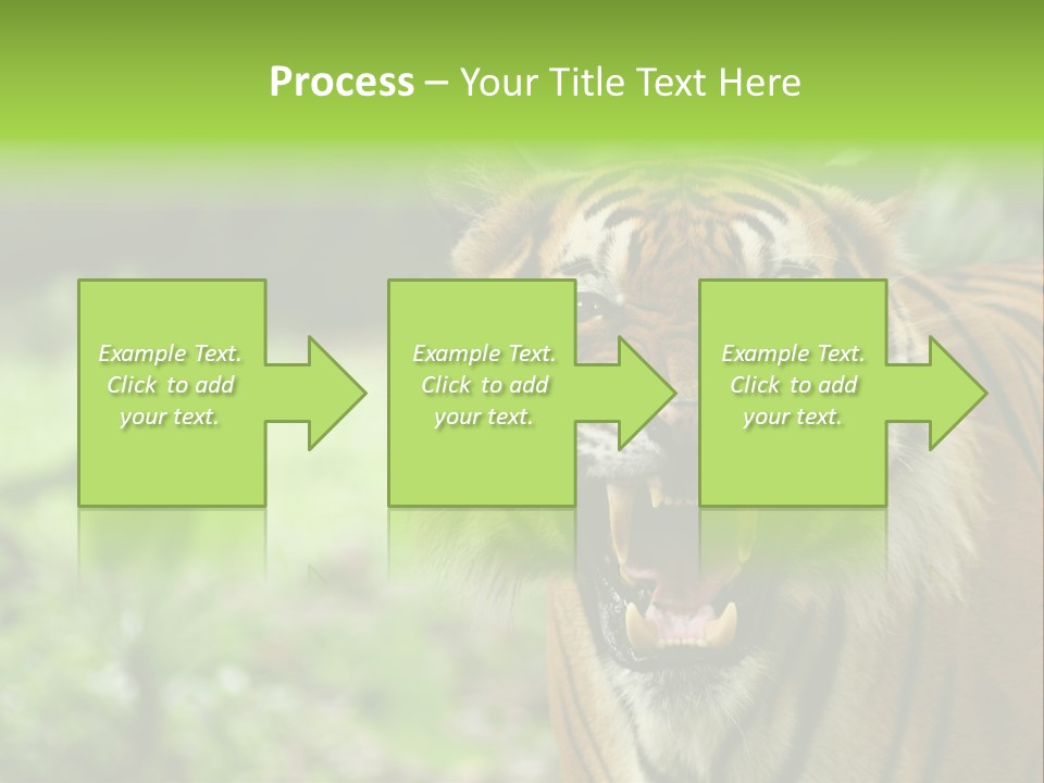 Beauty Safari Scare PowerPoint Template