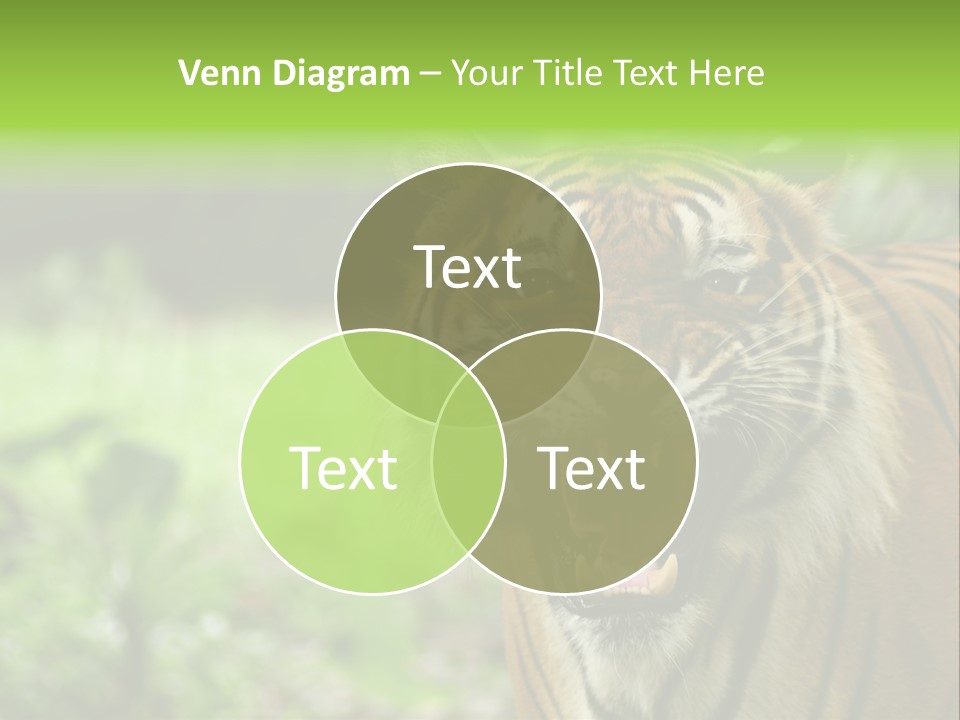Beauty Safari Scare PowerPoint Template