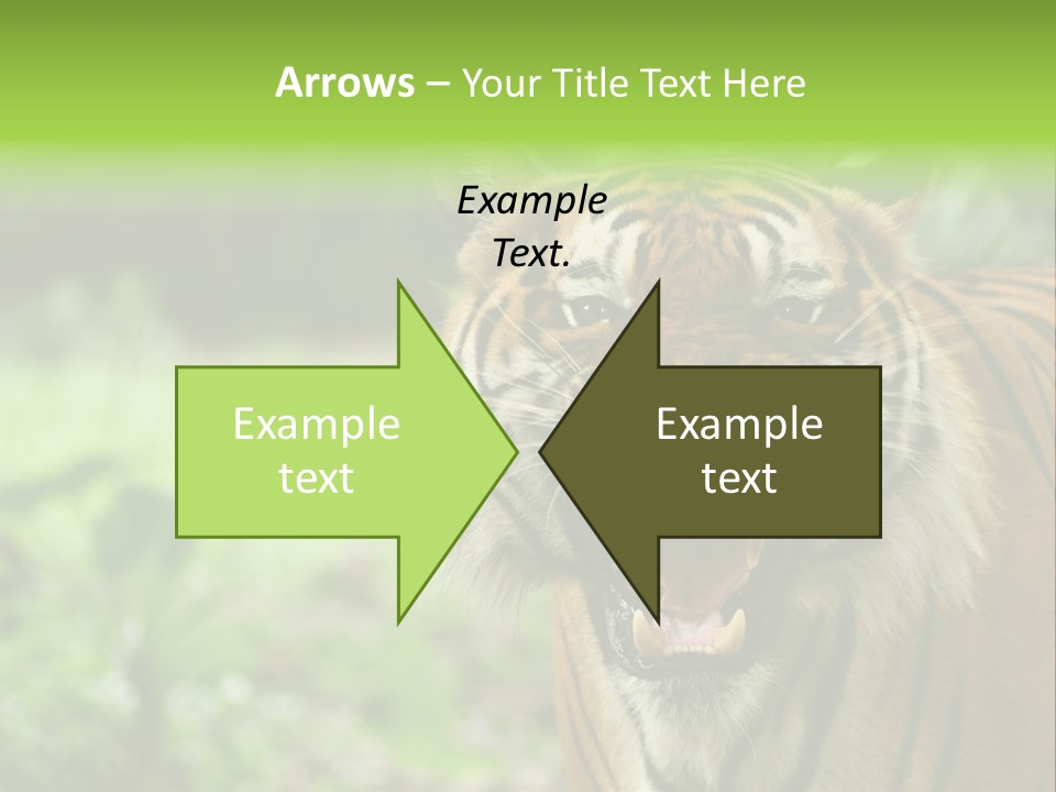 Beauty Safari Scare PowerPoint Template