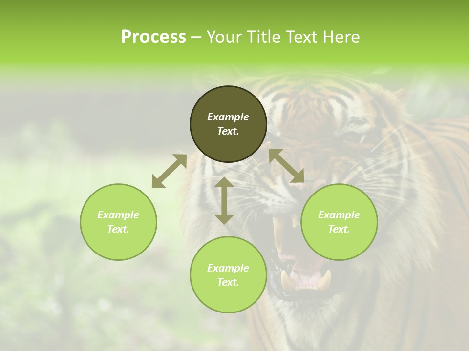 Beauty Safari Scare PowerPoint Template