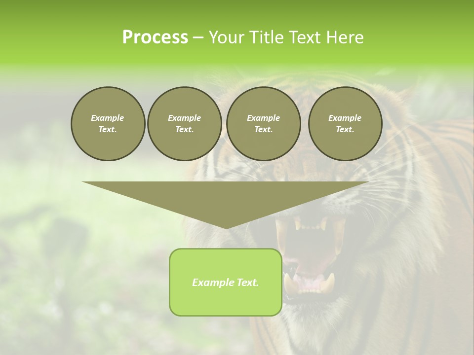 Beauty Safari Scare PowerPoint Template