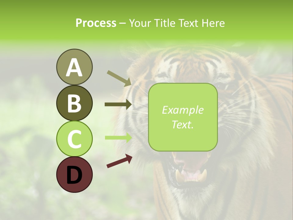 Beauty Safari Scare PowerPoint Template