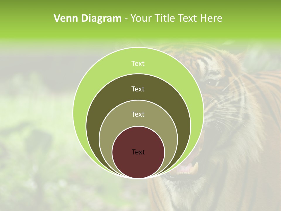 Beauty Safari Scare PowerPoint Template