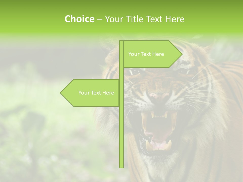 Beauty Safari Scare PowerPoint Template