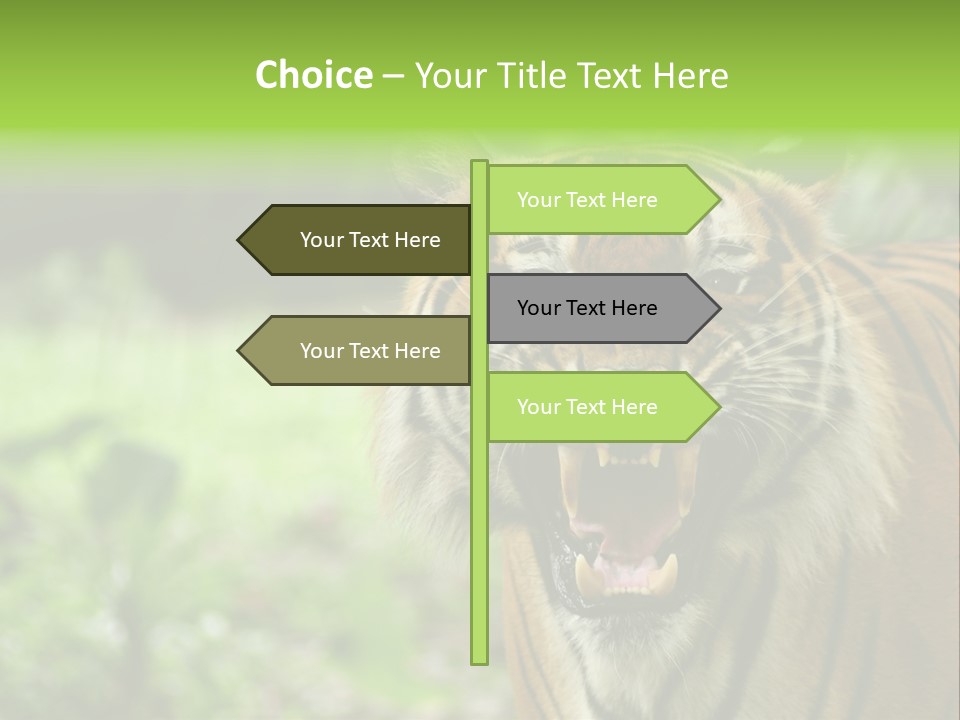 Beauty Safari Scare PowerPoint Template