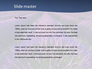 Blooming Lavender Scenic PowerPoint Template