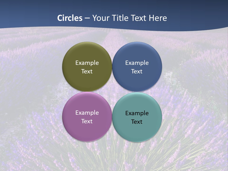 Blooming Lavender Scenic PowerPoint Template