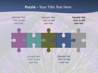 Blooming Lavender Scenic PowerPoint Template