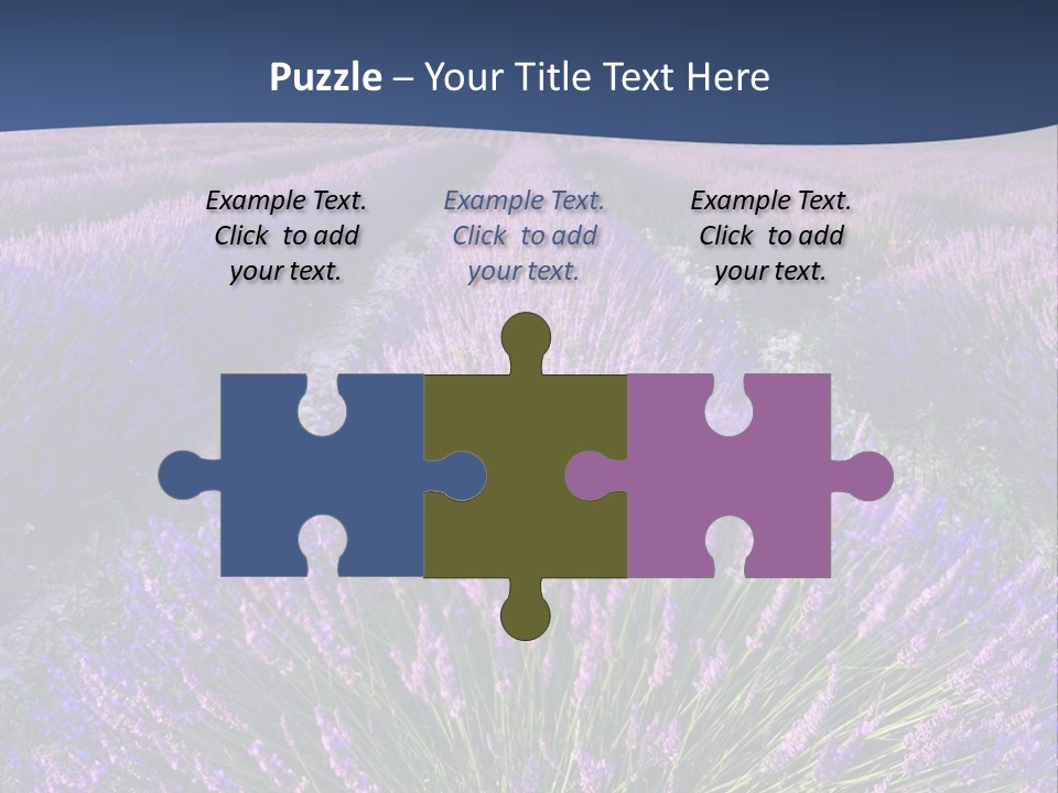 Blooming Lavender Scenic PowerPoint Template