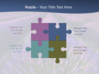 Blooming Lavender Scenic PowerPoint Template