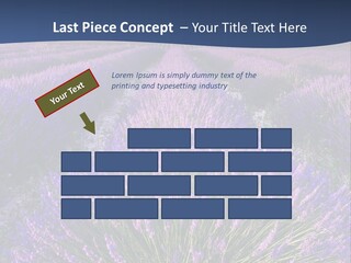 Blooming Lavender Scenic PowerPoint Template