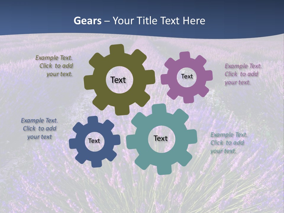 Blooming Lavender Scenic PowerPoint Template