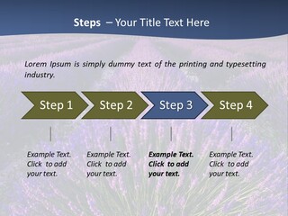 Blooming Lavender Scenic PowerPoint Template