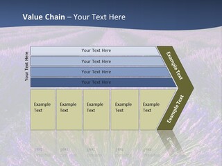 Blooming Lavender Scenic PowerPoint Template