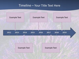 Blooming Lavender Scenic PowerPoint Template