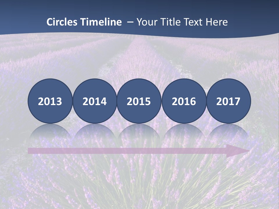 Blooming Lavender Scenic PowerPoint Template