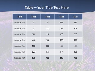 Blooming Lavender Scenic PowerPoint Template