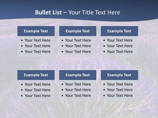 Blooming Lavender Scenic PowerPoint Template