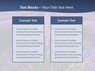 Blooming Lavender Scenic PowerPoint Template