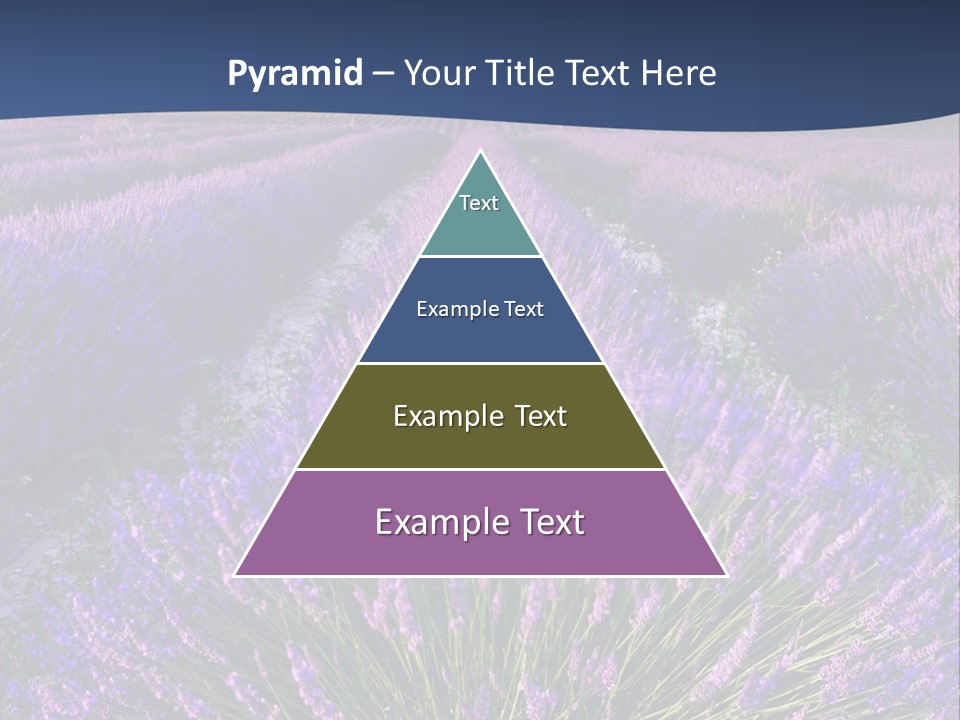 Blooming Lavender Scenic PowerPoint Template