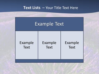 Blooming Lavender Scenic PowerPoint Template