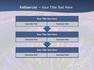 Blooming Lavender Scenic PowerPoint Template