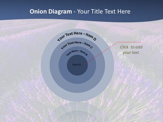 Blooming Lavender Scenic PowerPoint Template