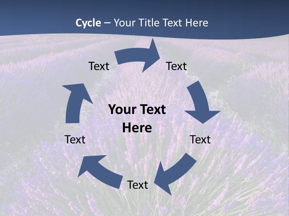 Blooming Lavender Scenic PowerPoint Template