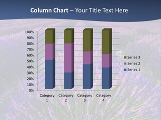 Blooming Lavender Scenic PowerPoint Template