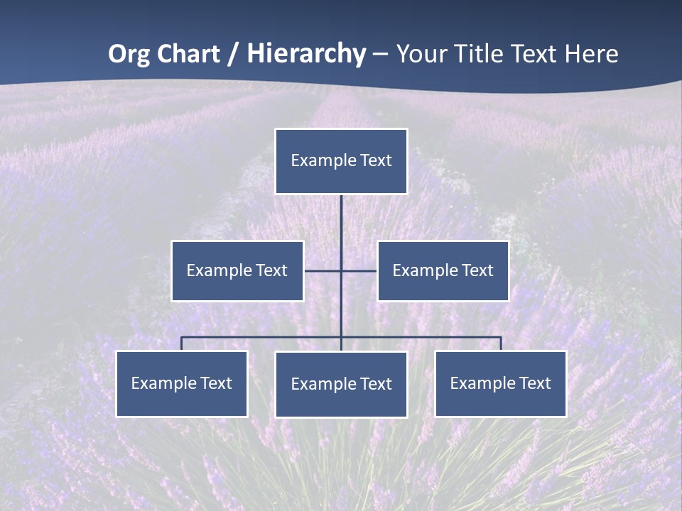 Blooming Lavender Scenic PowerPoint Template