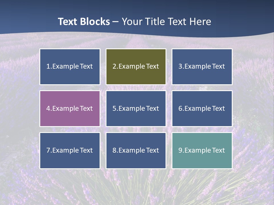 Blooming Lavender Scenic PowerPoint Template