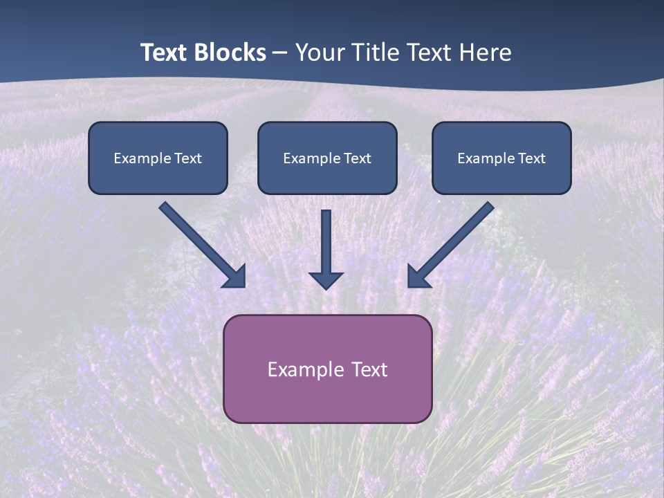 Blooming Lavender Scenic PowerPoint Template